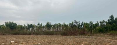 Residential Lands for Sale in R K Cortina