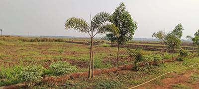 Project Image of 1741 Sq.ft Residential Plot / Land for sale in Phulnakhara for Rs. 2100000