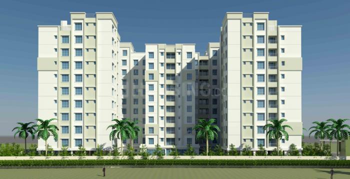 Gallery Cover Pic of Lemon Botany