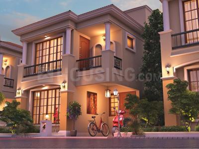 Gallery Cover Pic of Creative Green Wood Empire