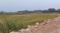 Gallery Cover Pic of Natures Paradise Phase II