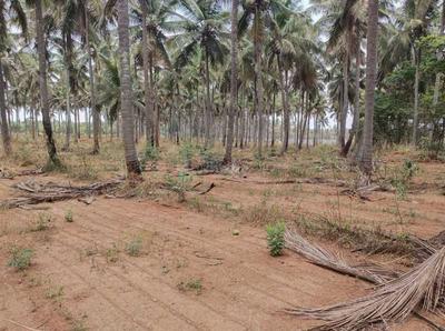 Residential Lands for Sale in IG3 Ekta Elements