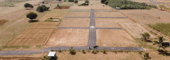 Gallery Cover Pic of Rose Garden