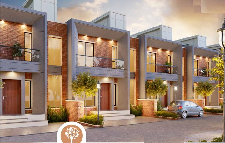 Leo Lake Tree Elevation 1