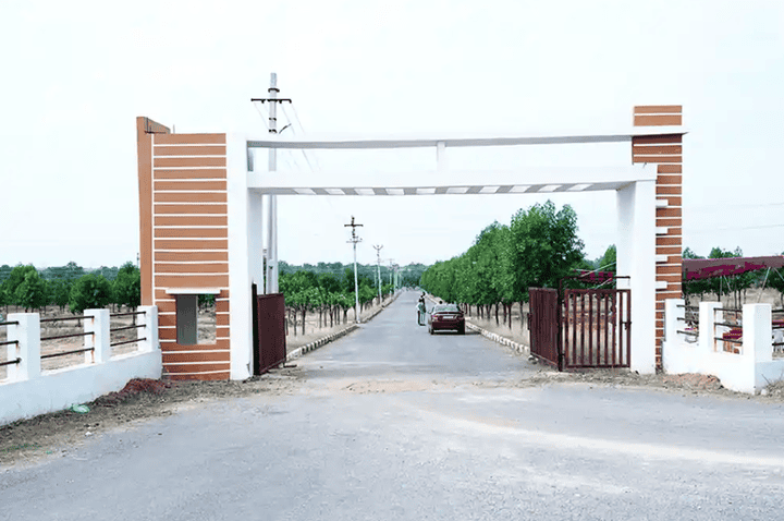 Gallery Cover Pic of Lighthouse Pharma Green City