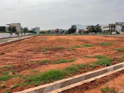 Gallery Cover Pic of Ayyan Dhanasri Garden Extension