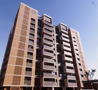 Gallery Cover Pic of Gala Aria