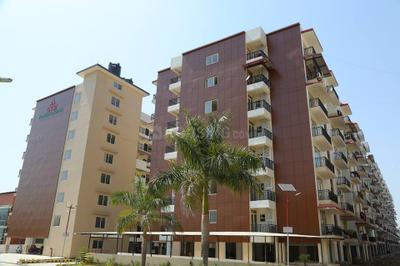 3 BHK Flat