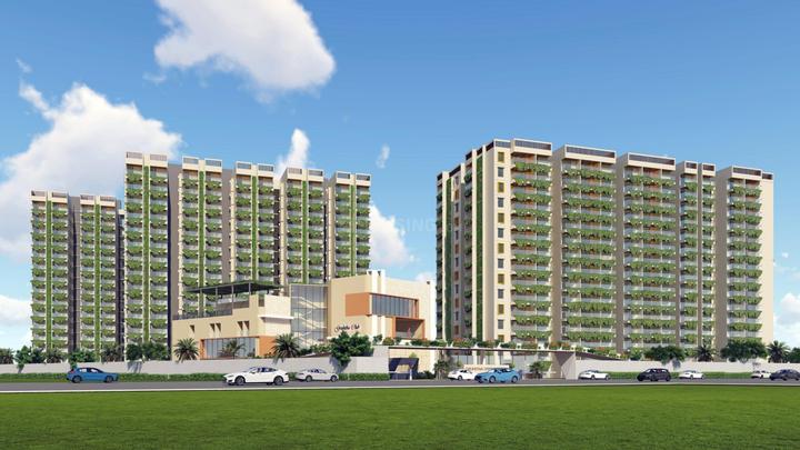 Gruhitha Spring Violet Main Image 1