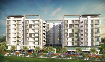 LG S Suchitra Classic