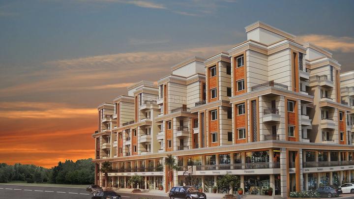 Gallery Cover Pic of S P Shree Siddheshwar Krishna