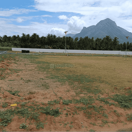 Gallery Cover Pic of Thambi Avenue