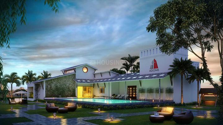 42 Estates Adonis More Images 1