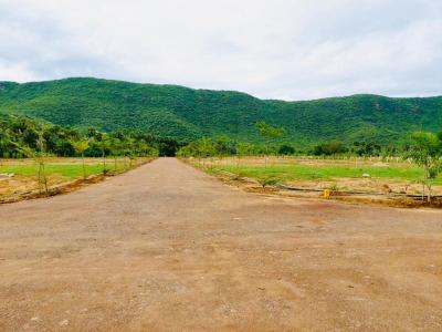 Project Image of 167 Sq.ft Residential Plot / Land for sale in Nellimarla for Rs. 1252500
