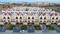 AL Aamrakunj Lakeview Bungalows Main Image 1
