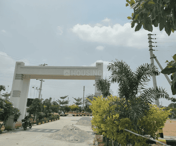 Residential Lands for Sale in Royal Rise County