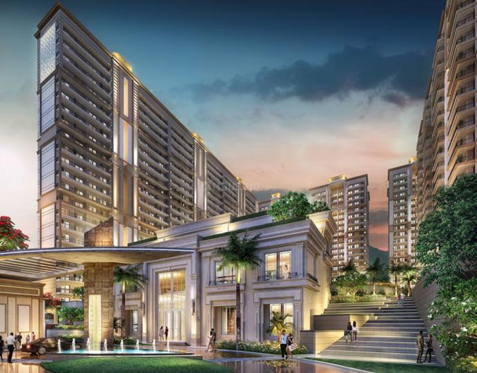 Gallery Cover Pic of The Medallion Aurum