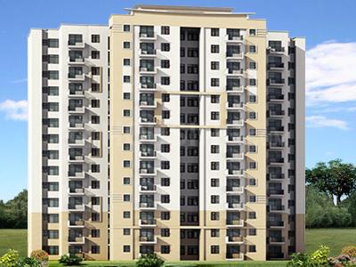 Gallery Cover Pic of Shree Olive