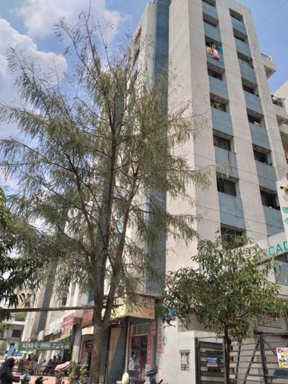 Gallery Cover Pic of Sweety Arcade