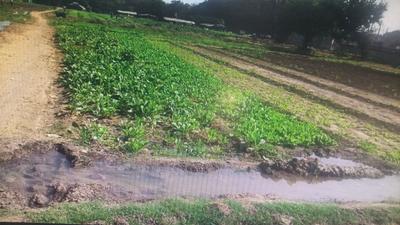 Residential Lands for Sale in Devam Ambro Park 3