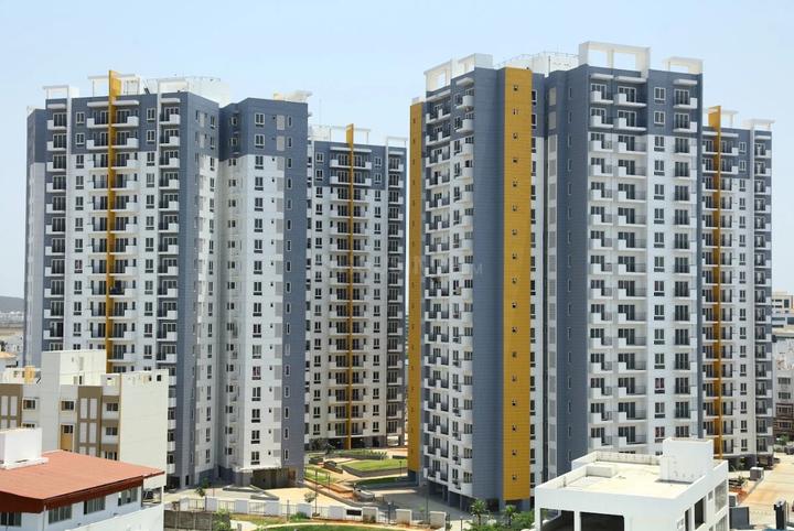 ASV Alexandria Elevation 1