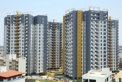 3 BHK Flat