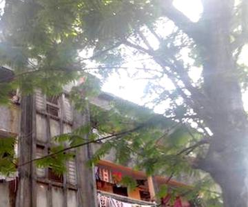Gallery Cover Pic of Saptarshi CHS
