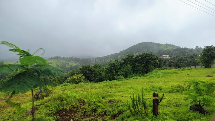 Gallery Cover Pic of Avani City Plots In Panvel