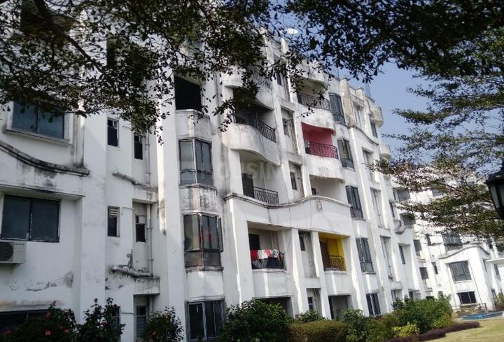 Gallery Cover Pic of Ganges Puja Ganges