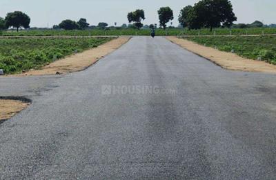 AMJ Garden Project Images