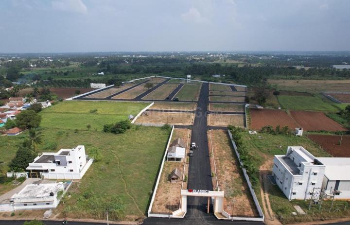 Gallery Cover Pic of P Classic Avenue