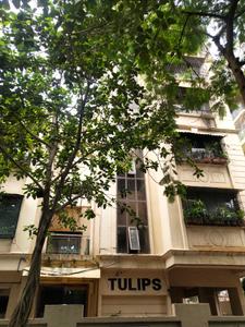 Swaraj Homes Tulips Apartment Project Images