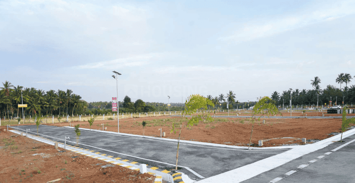 Gallery Cover Pic of Sri Nagar