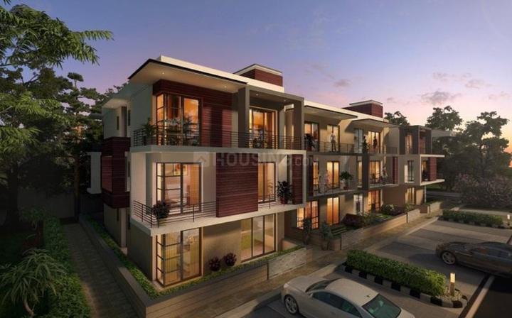 Gallery Cover Pic of Ireo Coral Floors