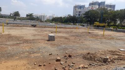 TVH Bloom Phase 1