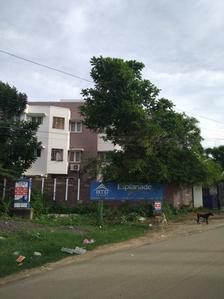Gallery Cover Image of 1115 Sq.ft 3 BHK Apartment / Flat for rent in  Esplanade, Perumbakkam for Rs. 20000
