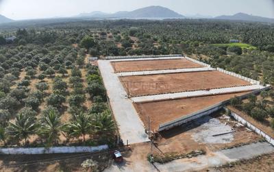N N Garden Project Images
