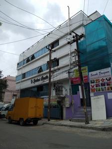 Sridevi Castle
