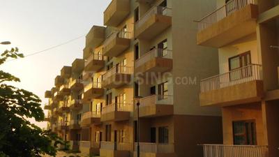 3 BHK Flat