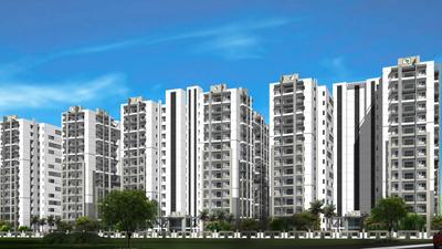 Avani and Ayush at Green Grace Project Images