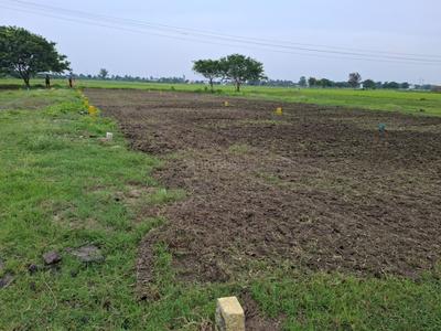 Residential Lands for Sale in Superr Dhakshinamurthy Nagar