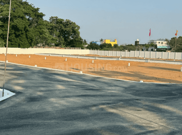 Gallery Cover Pic of Tashvi