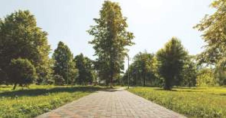 Levity Golf Links Phase 2 Elevation 1