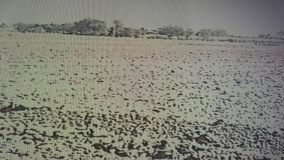 Residential Lands for Sale in Shilp Victoria Shilp