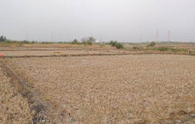 Cityprop Plot In Vindhane Elevation 3