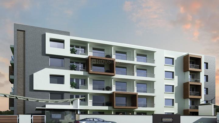 Gallery Cover Pic of MSR Daffodils