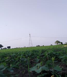 Project Image of 1000 Sq.ft Residential Plot / Land for sale in Ringnodiya for Rs. 5000000