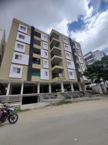 Shoib Mountain View Project Images