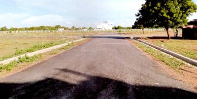 Lily Garden Project Images