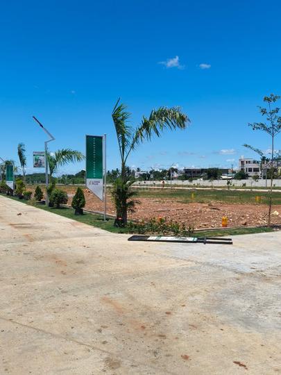 Gallery Cover Pic of Altis Aavaas